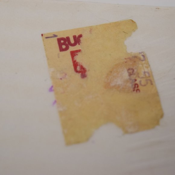 Vintage UF Florida Gators Paper Plate Cup Napkin Set Sealed Tailgate Albert - Picture 8 of 9